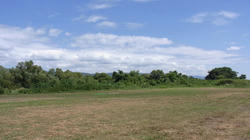 RIMG0325_BLOG.jpg