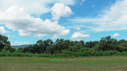 SANY3754.jpg