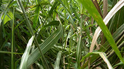 RIMG0390_BLOG.jpg