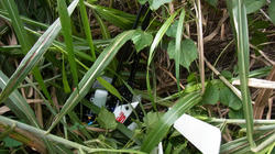 RIMG0391_BLOG.jpg