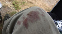 RIMG0393_BLOG.jpg