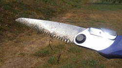 RIMG0395_BLOG.jpg