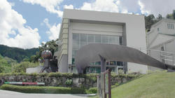 SANY3876.jpg