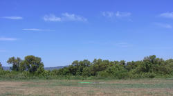 RIMG0001.jpg