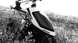 RIMG0018.jpg