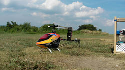 SANY3974.jpg