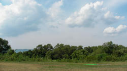 SANY3975.jpg