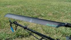 SANY4038_BLOG.jpg