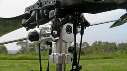 SANY4148.jpg