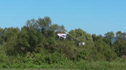 SANY4167.jpg