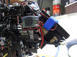 RIMG0168.jpg