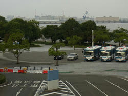 RIMG0170_BLOG.jpg