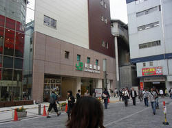 RIMG0187_BLOG.jpg