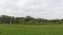 SANY4196.jpg