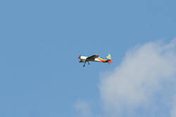 IMG_9191.jpg