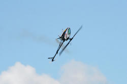 IMG_9125.jpg
