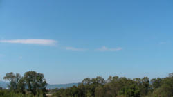 SANY4295.jpg