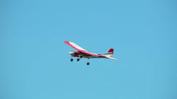 SANY4298.jpg