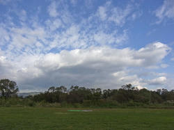 RIMG0052.jpg