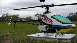 SANY4352.jpg
