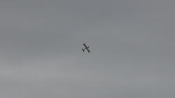 SANY4357.jpg