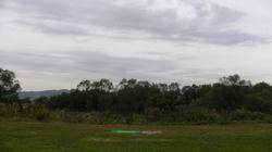 SANY4359.jpg
