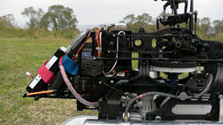 SANY4367.jpg