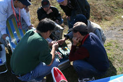 IMG_9758q.jpg