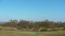 SANY4398.jpg
