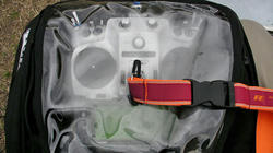 SANY4433q.jpg