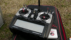 SANY4436r.jpg
