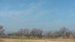 SANY0119a.jpg