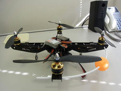 RIMG0186o.jpg