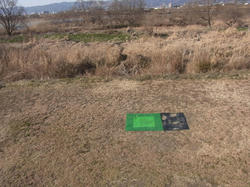 RIMG0012e.jpg