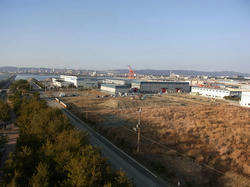 RIMG0016p.jpg