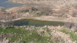 RIMG0049d.jpg