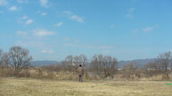 SANY0152a.jpg