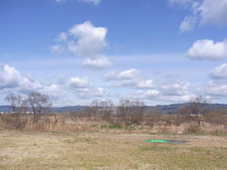 RIMG0022a.jpg