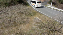 RIMG0167g.jpg
