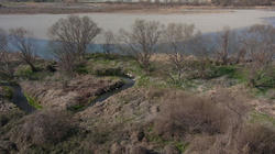 RIMG0243l.jpg