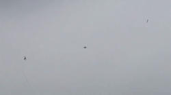 201103061351two-1.jpg