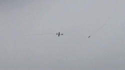 201103061351two-2.jpg