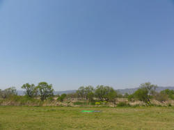 DSC00591.jpg