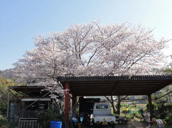 DSC00599.jpg
