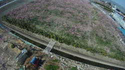 GOPR5945.jpg