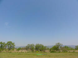 DSC00601.jpg