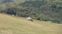 DSC00832.jpg