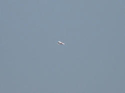 DSC00866j.jpg
