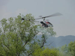DSC00892n.jpg