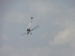 DSC00907q.jpg
